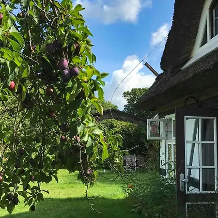 Alte Fischerei _ Kapitaensstube Ostseeheilbad Zingst